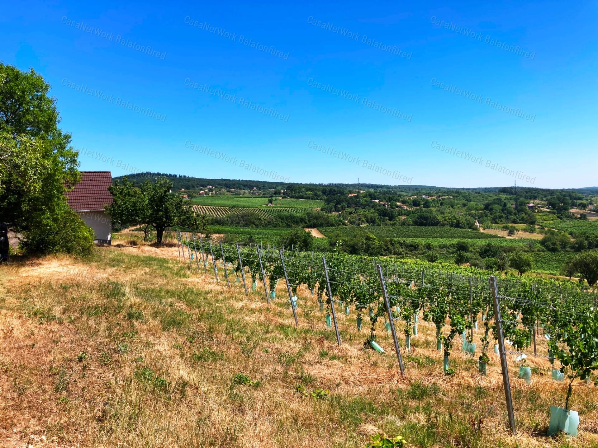 Tökéletes panorámás bővíthető nyaraló Balatonszőlősön