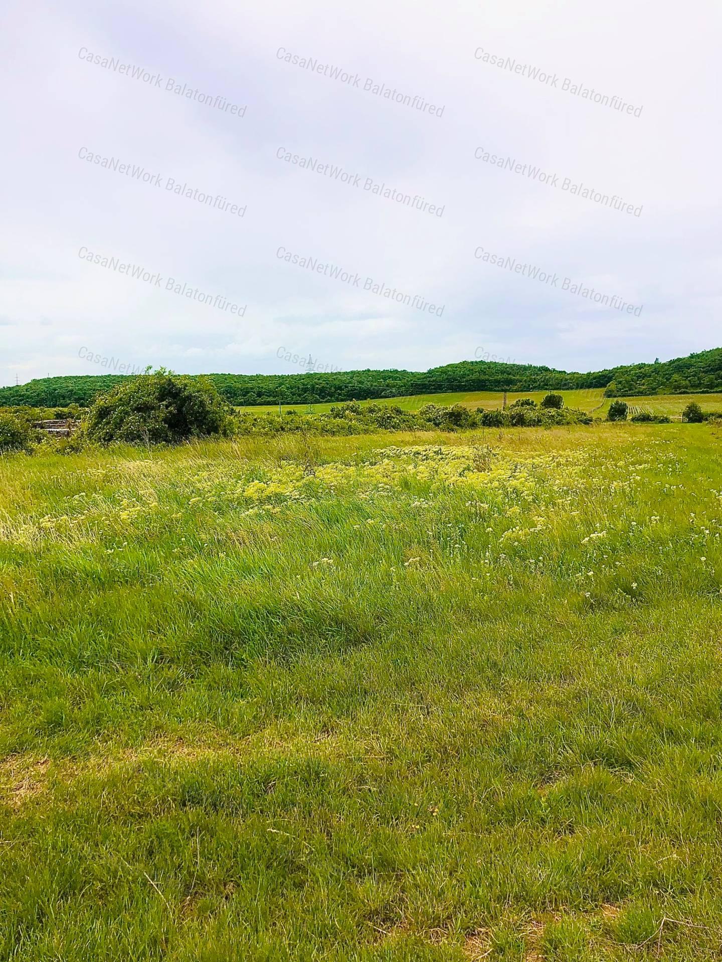 Mezőgazdasági terület ELADÓ Balatonszőlősön