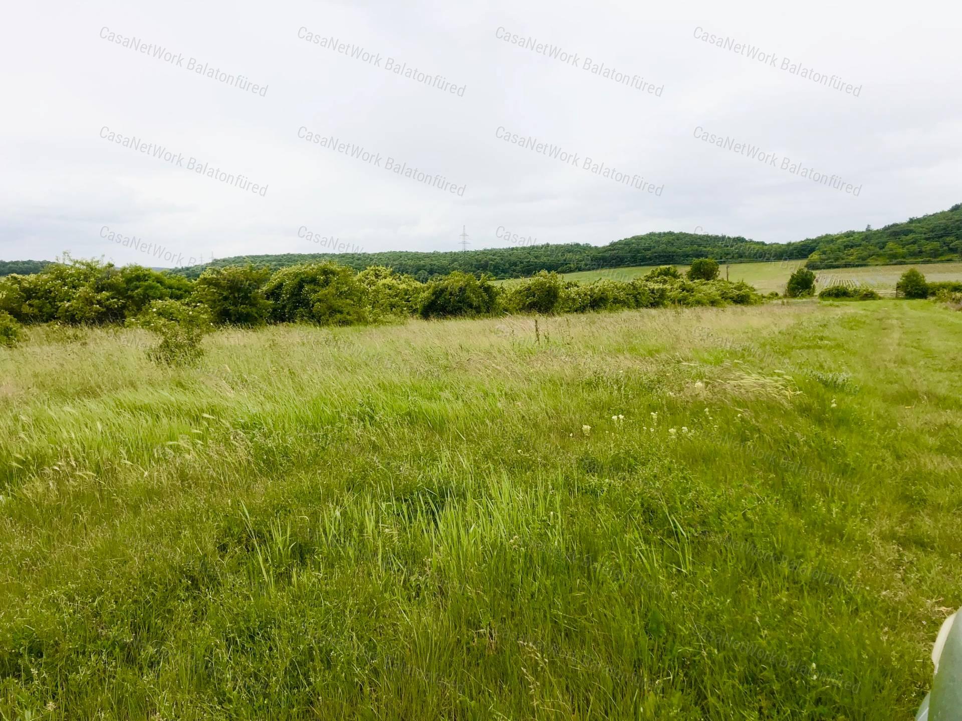 Mezőgazdasági terület ELADÓ Balatonszőlősön