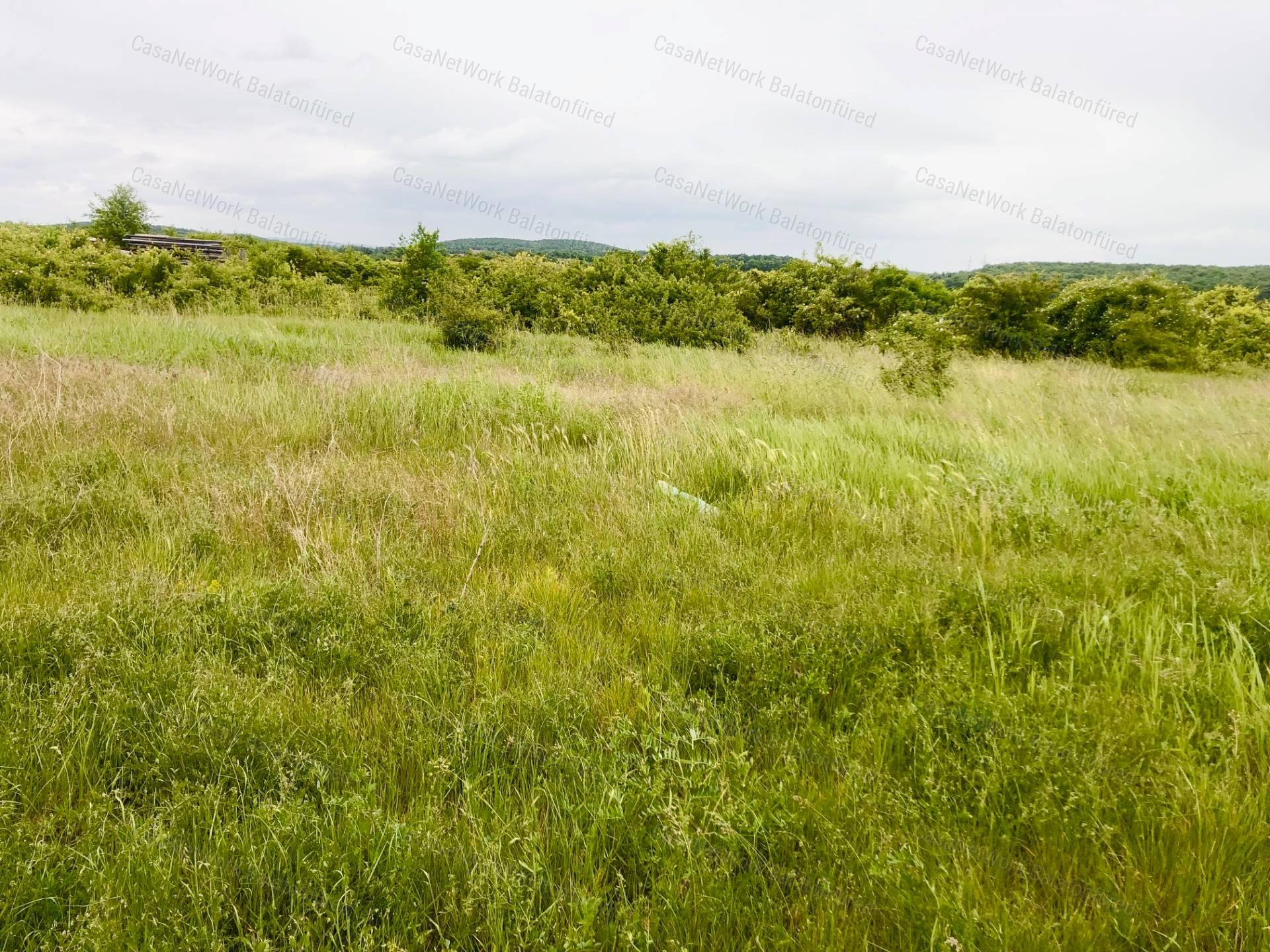 Mezőgazdasági terület ELADÓ Balatonszőlősön