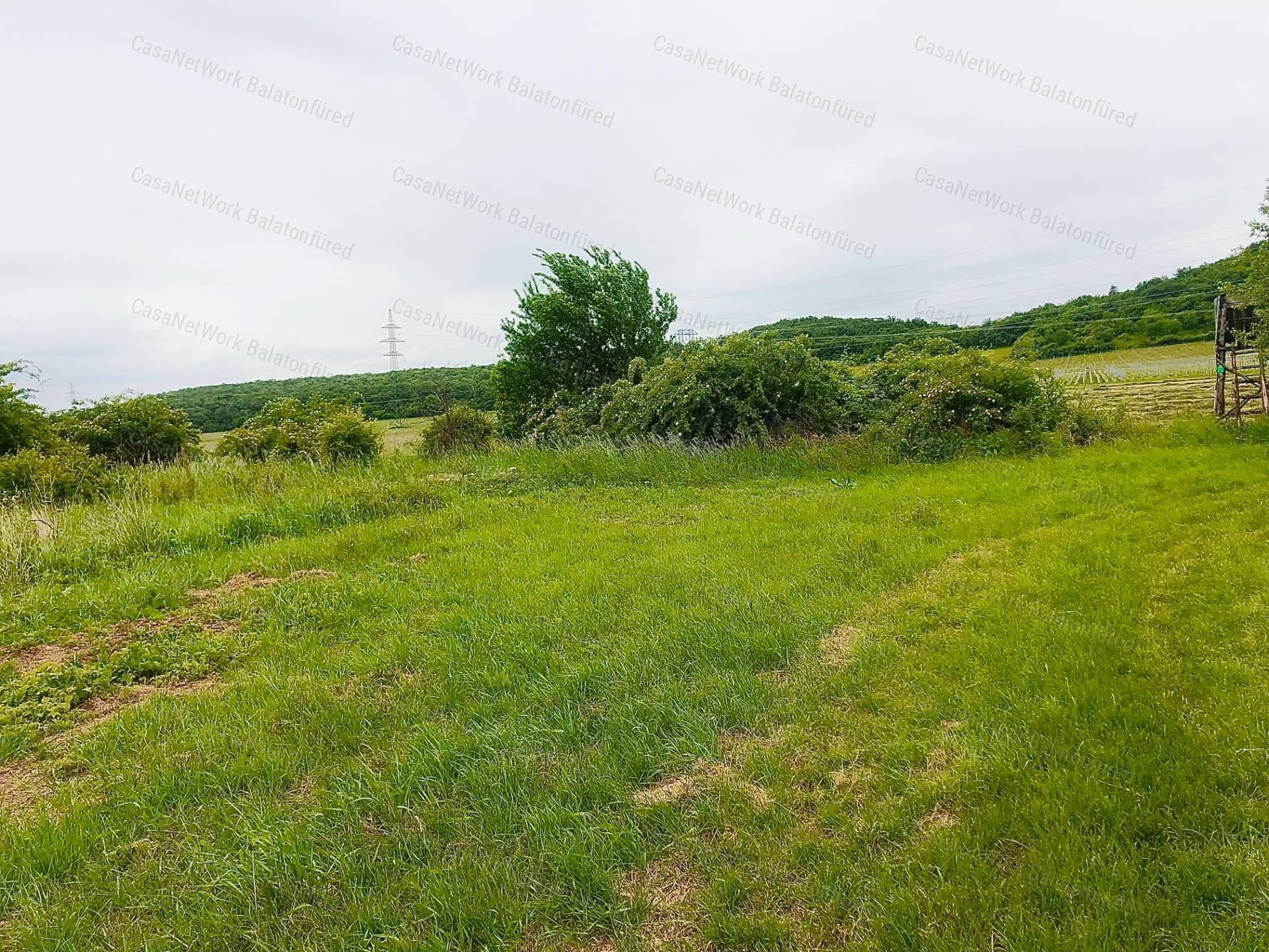 Mezőgazdasági terület ELADÓ Balatonszőlősön