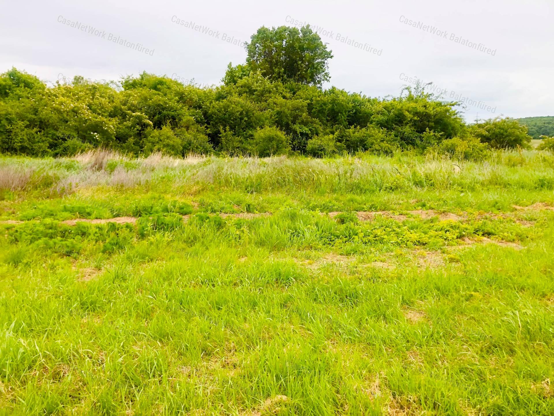 Mezőgazdasági terület ELADÓ Balatonszőlősön