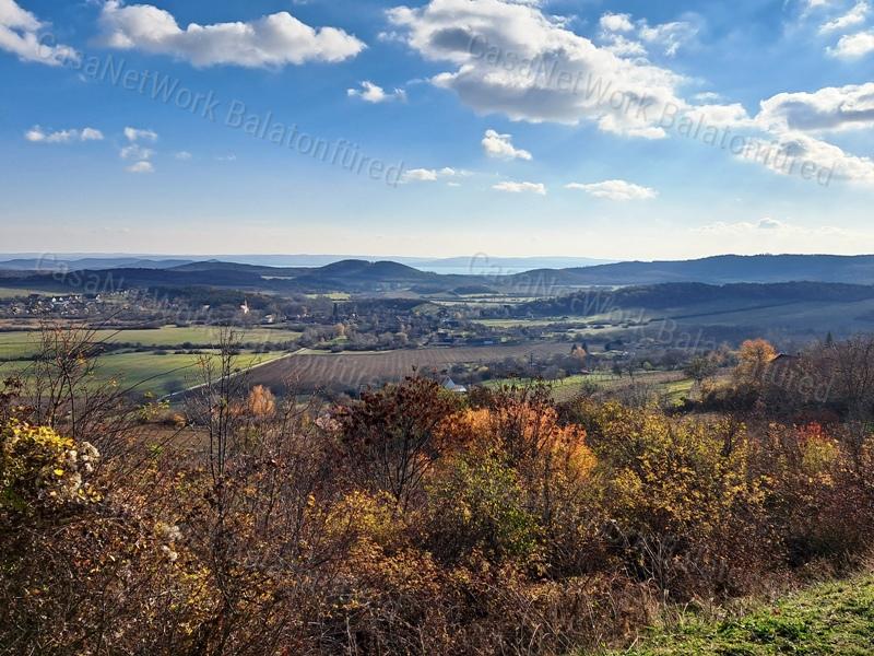 Örökpanoráma, építhető -eladó MEZŐGAZDASÁGI TERÜLET PÉCSELYEN