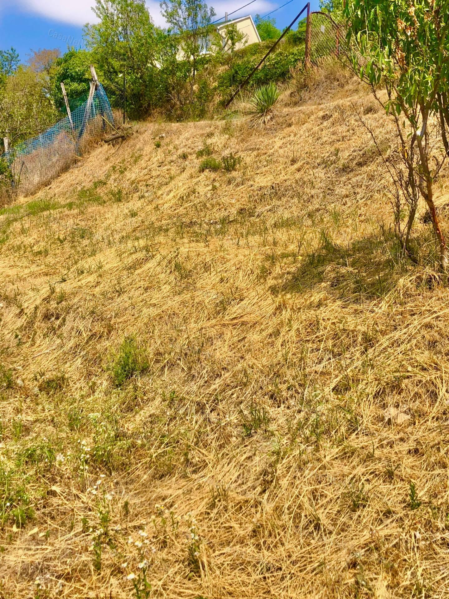 Elvehetetlen csodás Panoráma