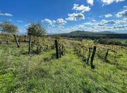 Hegyestűn elvehetetlen pazar panorámával