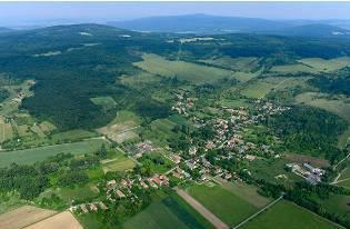 Természetben - Balatonhenyén ELADÓ fás bokros terület
