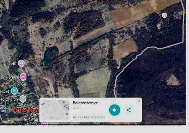 Természetben - Balatonhenyén ELADÓ fás bokros terület