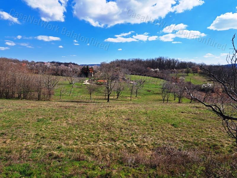 Tájpanorámás, építhető-eladó MEZŐGAZDASÁGI TERÜLET KÖVESKÁLON