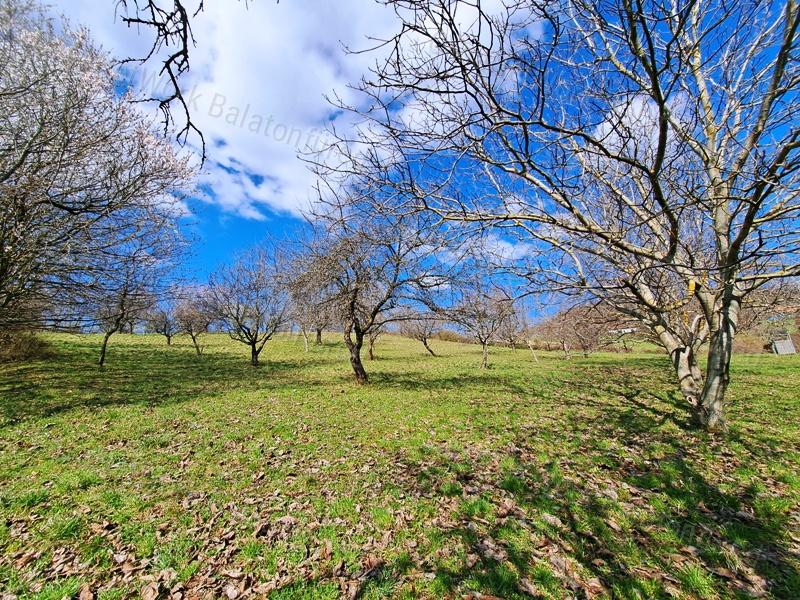 Építhető, tájpanorámás- eladó MEZŐGAZDASÁGI TERÜLET KÖVESKÁLON
