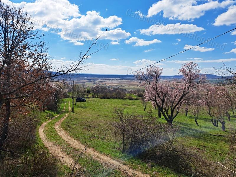 Építhető, tájpanorámás- eladó MEZŐGAZDASÁGI TERÜLET KÖVESKÁLON