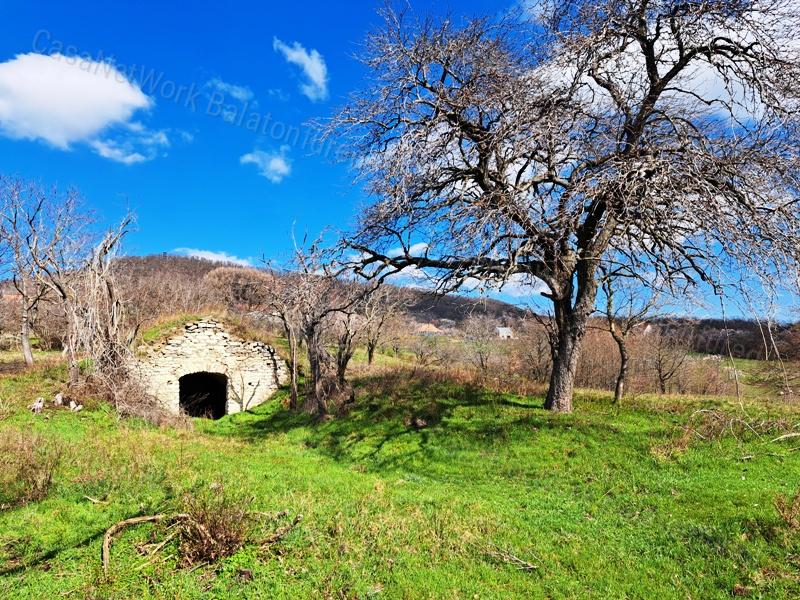 Építhető, tájpanorámás- eladó MEZŐGAZDASÁGI TERÜLET KÖVESKÁLON