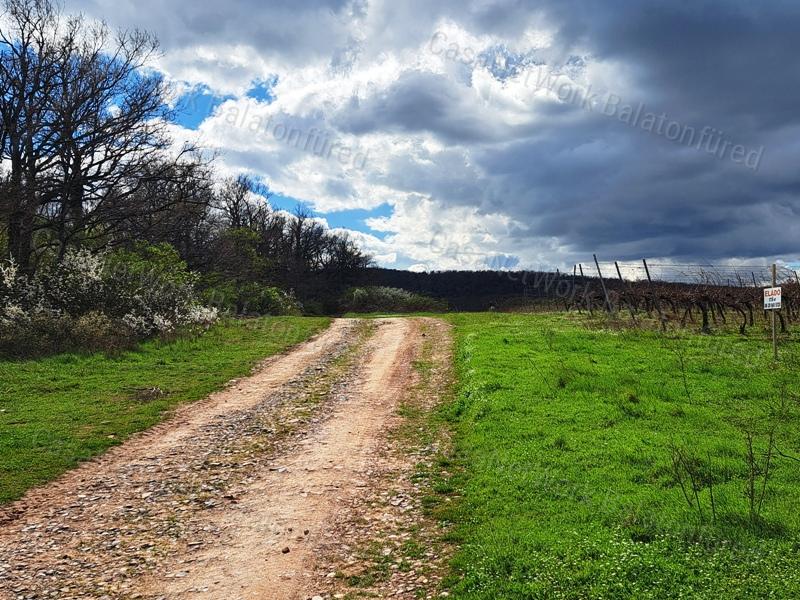 Tájpanorámás,település közeli- eladó MEZŐGAZDASÁGI TERÜLET ZÁNKÁN