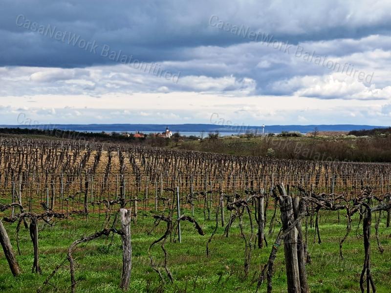 Tájpanorámás,település közeli- eladó MEZŐGAZDASÁGI TERÜLET ZÁNKÁN