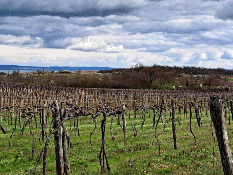 Tájpanorámás,település közeli- eladó MEZŐGAZDASÁGI TERÜLET ZÁNKÁN