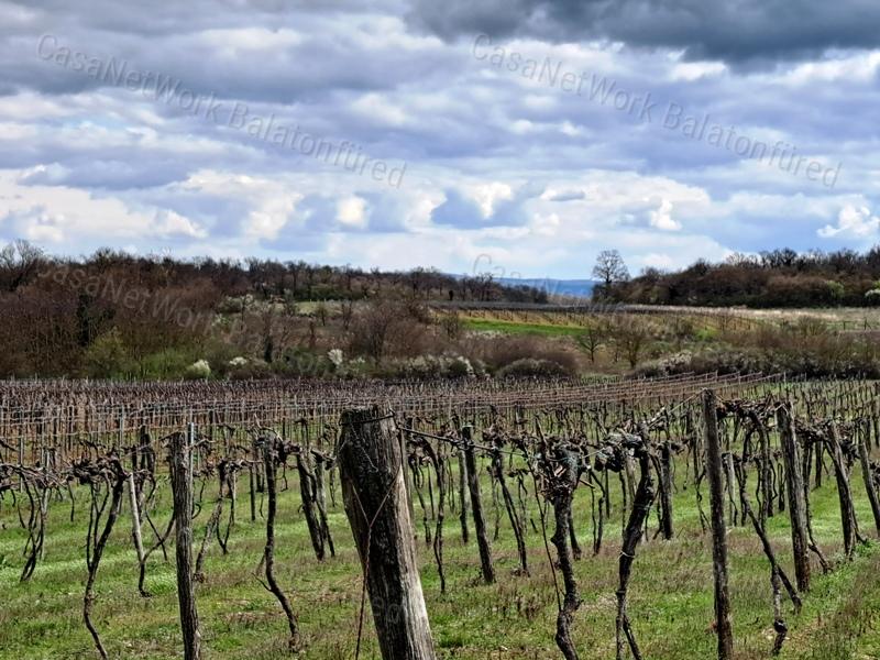 Tájpanorámás,település közeli- eladó MEZŐGAZDASÁGI TERÜLET ZÁNKÁN