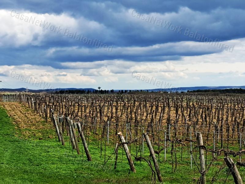 Tájpanorámás,település közeli- eladó MEZŐGAZDASÁGI TERÜLET ZÁNKÁN