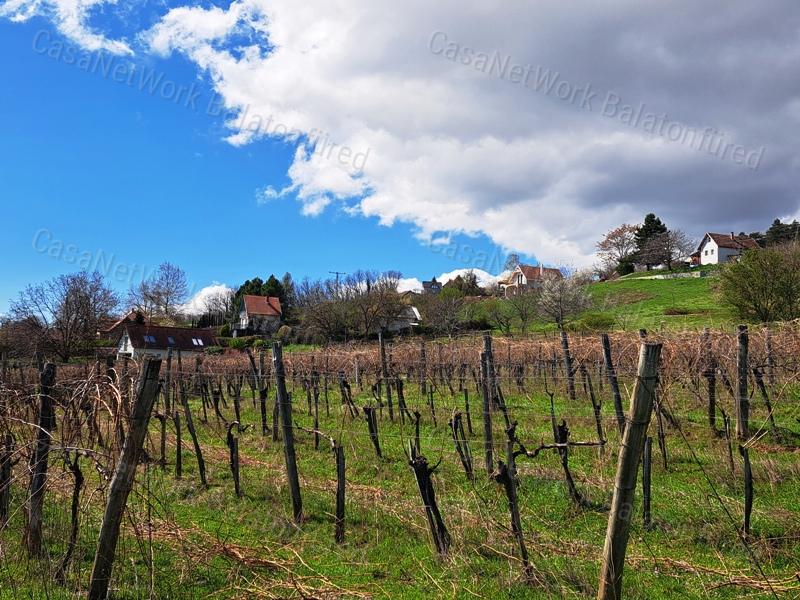 Település melletti, panorámás-eladó SZŐLŐ terület BALATONRENDESEN