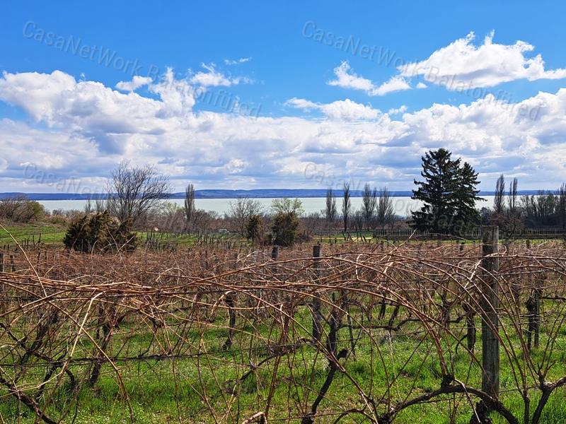 Település melletti, panorámás-eladó SZŐLŐ terület BALATONRENDESEN