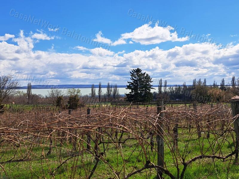 Település melletti, panorámás-eladó SZŐLŐ terület BALATONRENDESEN