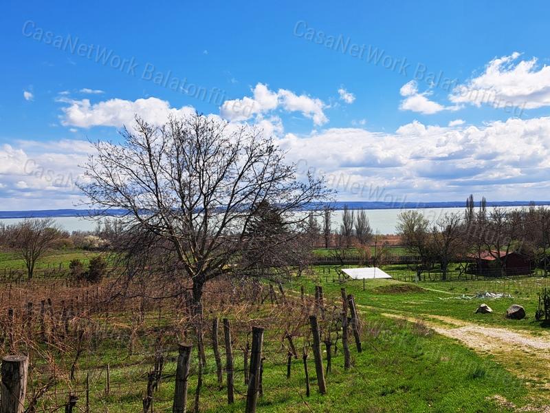 Település melletti, panorámás-eladó SZŐLŐ terület BALATONRENDESEN