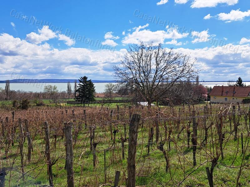 Település melletti, panorámás-eladó SZŐLŐ terület BALATONRENDESEN