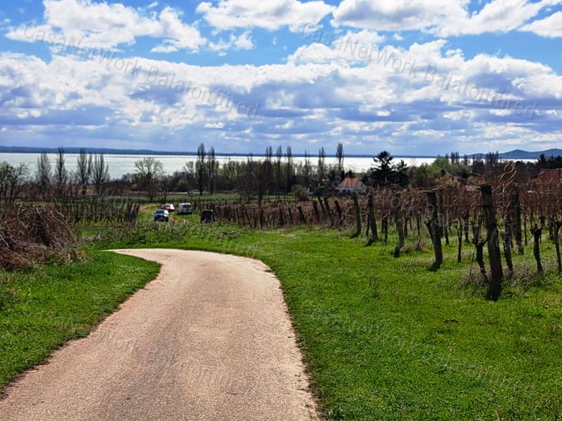 Település melletti, panorámás-eladó SZŐLŐ terület BALATONRENDESEN
