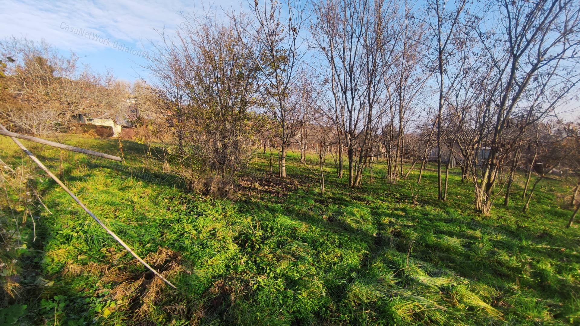 Balatonalmádi lakóövezeti telek