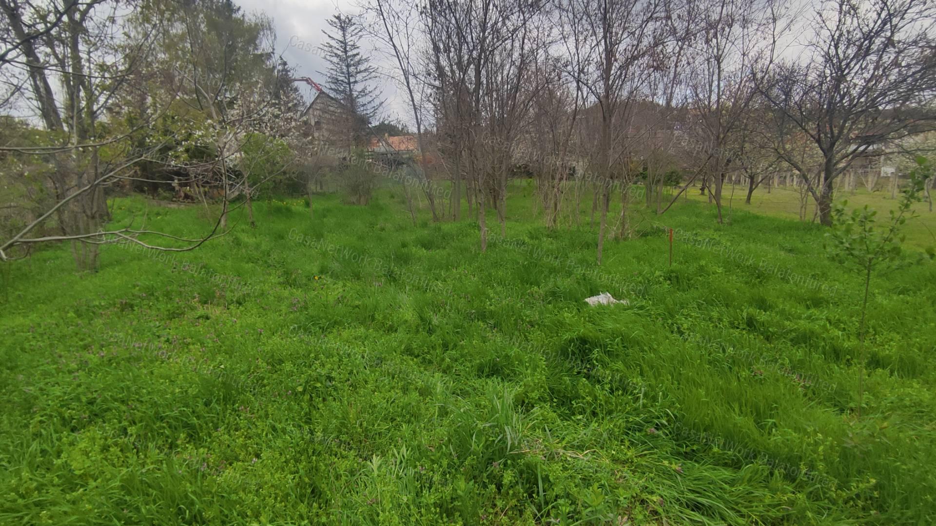 Balatonalmádi lakóövezeti telek