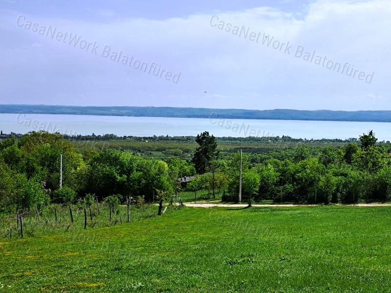 Kettő épület ,örökpanorámával-eladó MEZŐGAZDASÁGI TERÜLET VÁSZOLYBAN