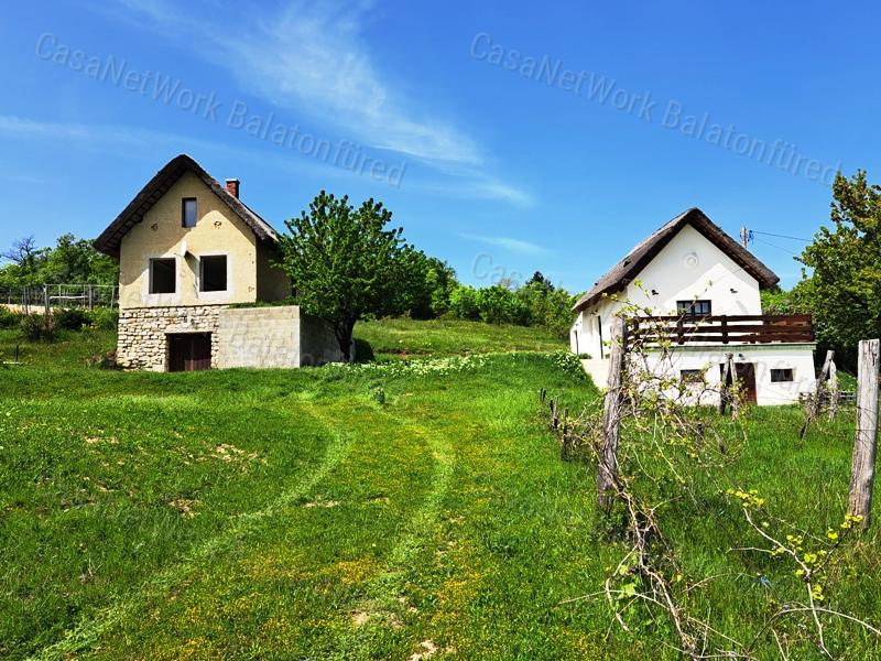 Kettő épület ,örökpanorámával-eladó MEZŐGAZDASÁGI TERÜLET VÁSZOLYBAN