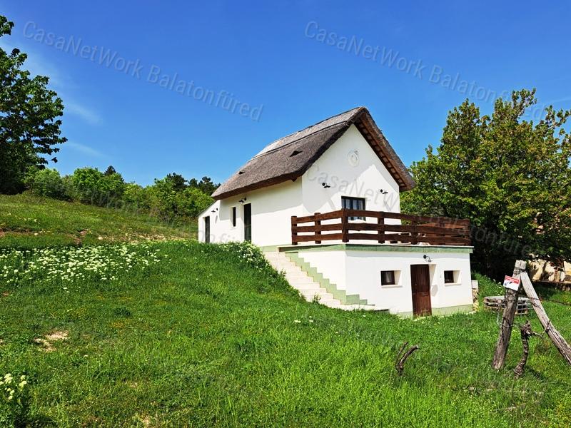 Kettő épület ,örökpanorámával-eladó MEZŐGAZDASÁGI TERÜLET VÁSZOLYBAN