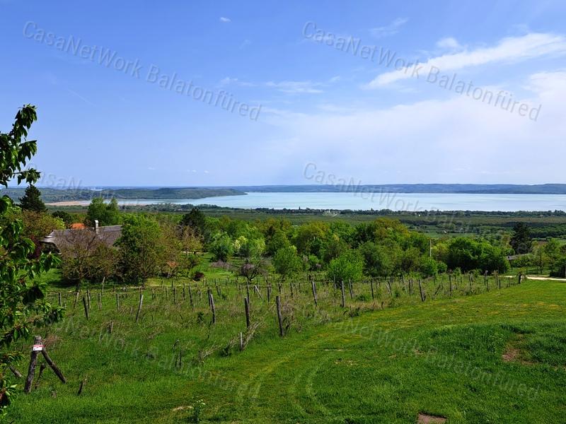 Kettő épület ,örökpanorámával-eladó MEZŐGAZDASÁGI TERÜLET VÁSZOLYBAN
