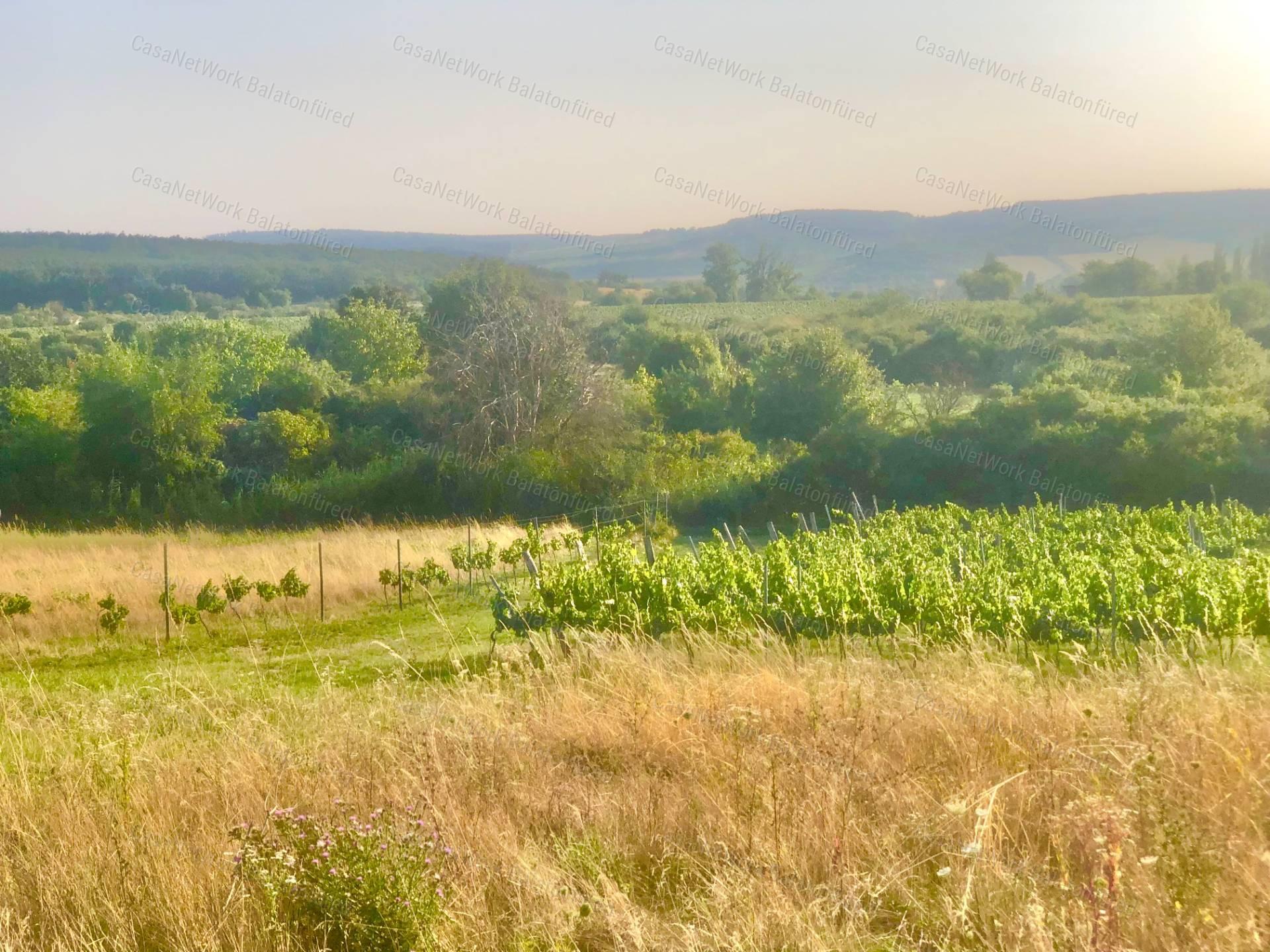 Legyél Szőlő Birtokos vagy Borász