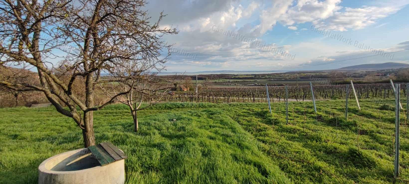 Örök Panorámás  pince - présház  Érvényes építési engedéllyel