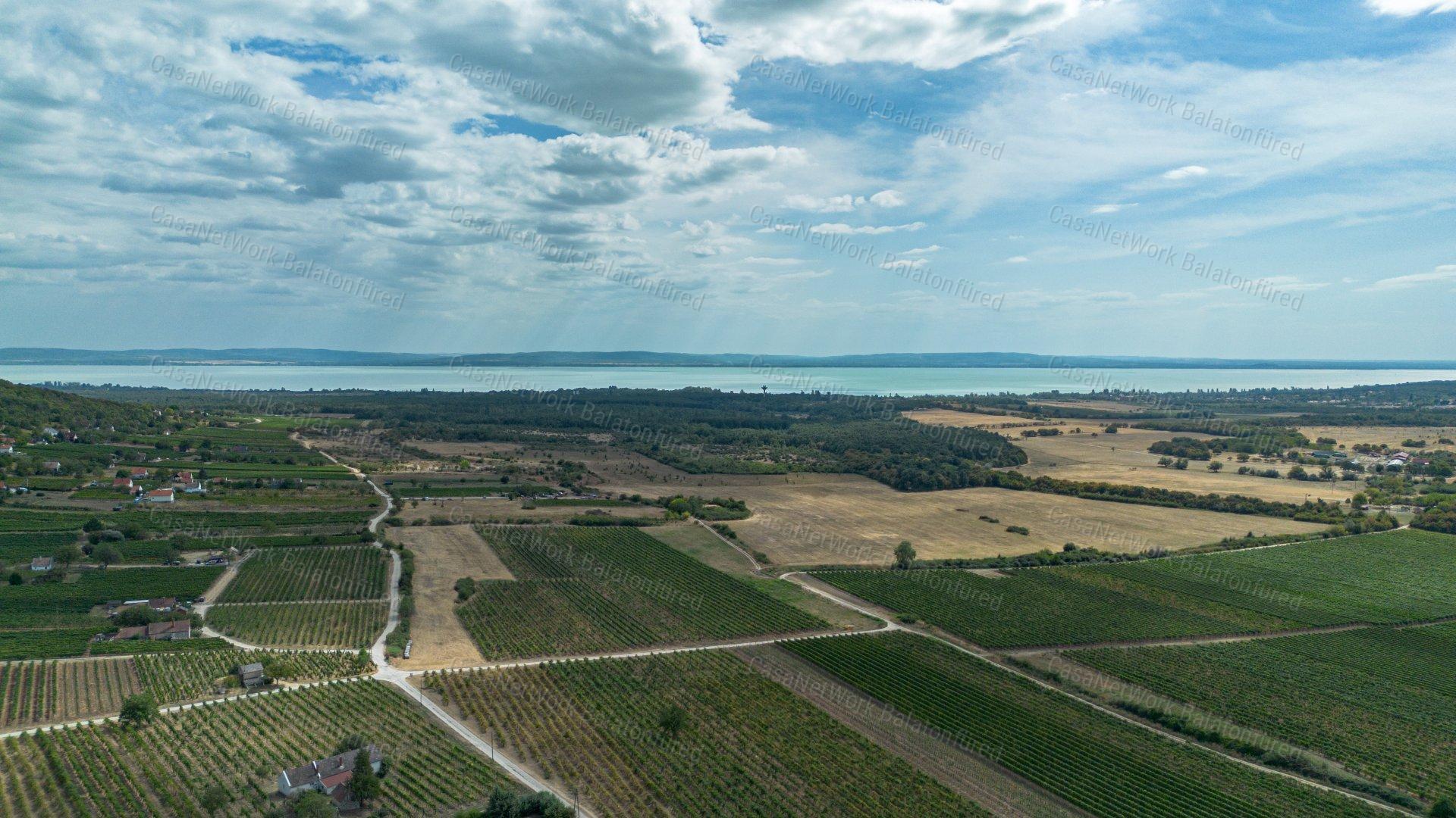 Örök Panorámás  pince - présház  Érvényes építési engedéllyel