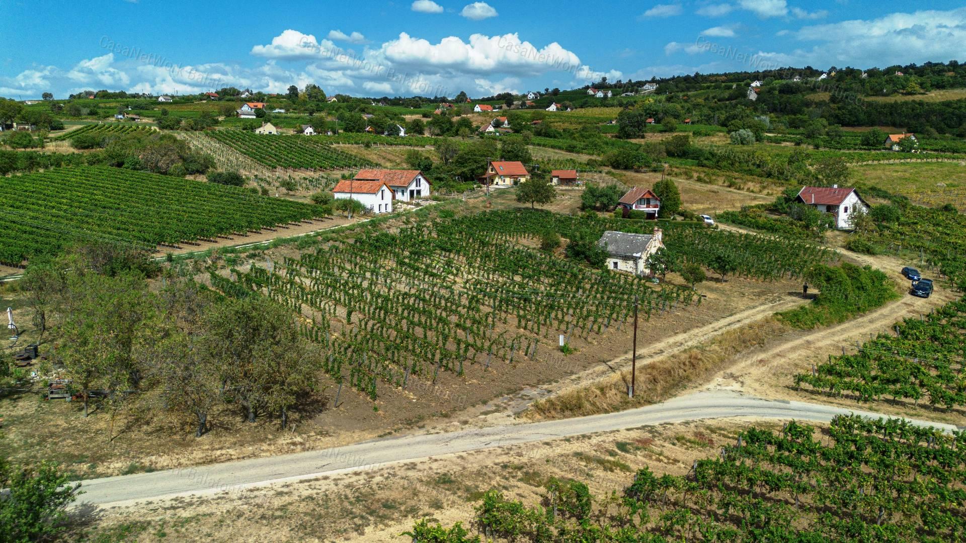 Örök Panorámás  pince - présház  Érvényes építési engedéllyel