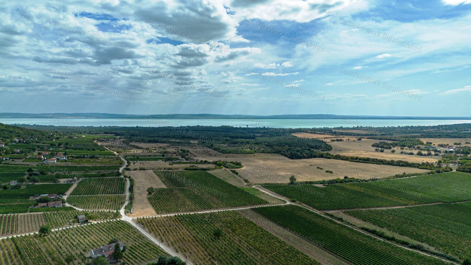 Örök Panorámás  pince - présház  Érvényes építési engedéllyel