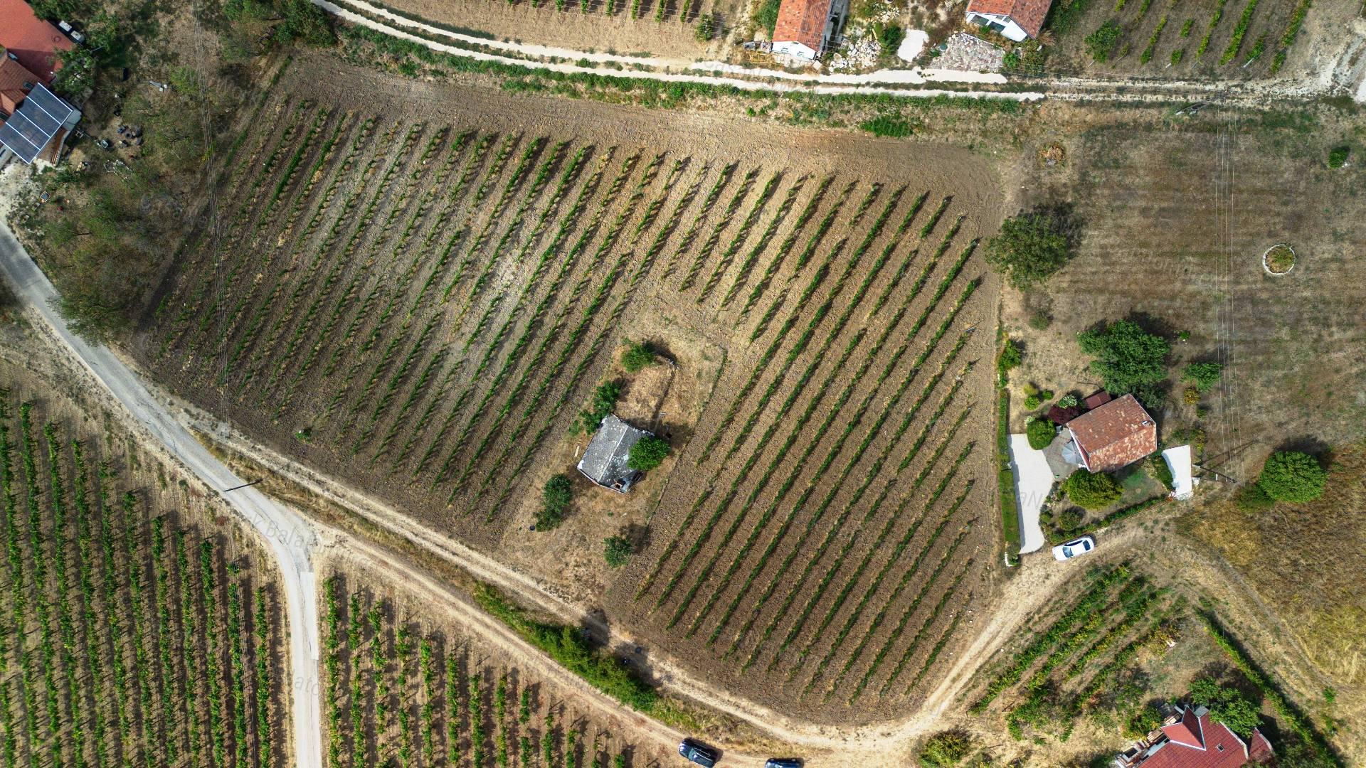 Örök Panorámás  pince - présház  Érvényes építési engedéllyel