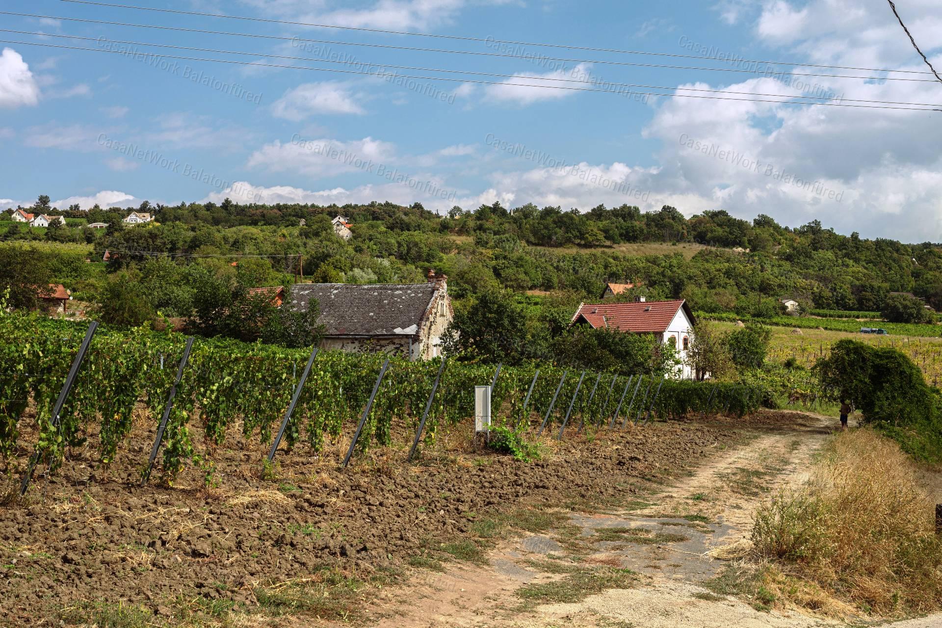 Örök Panorámás  pince - présház  Érvényes építési engedéllyel