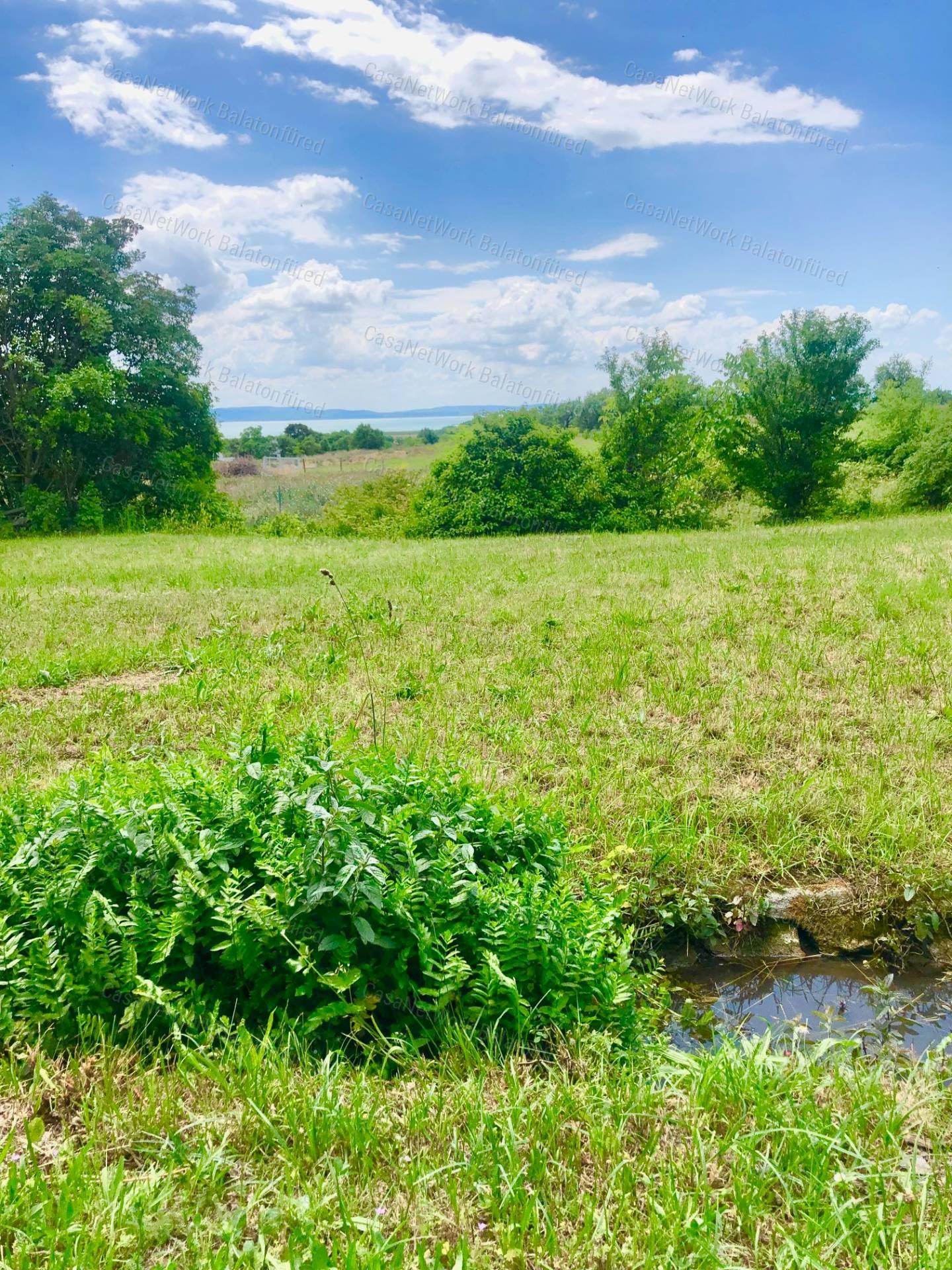Reggeli kávé-esti borozgatás-csörgedező patak partján- Balatoni Panoráma