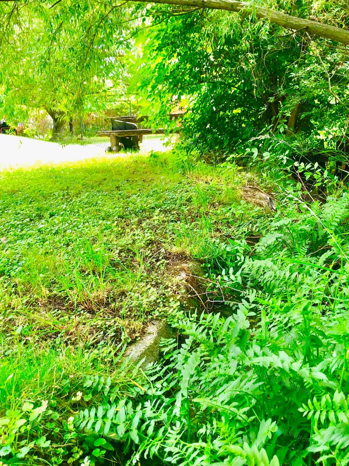 Reggeli kávé-esti borozgatás-csörgedező patak partján- Balatoni Panoráma