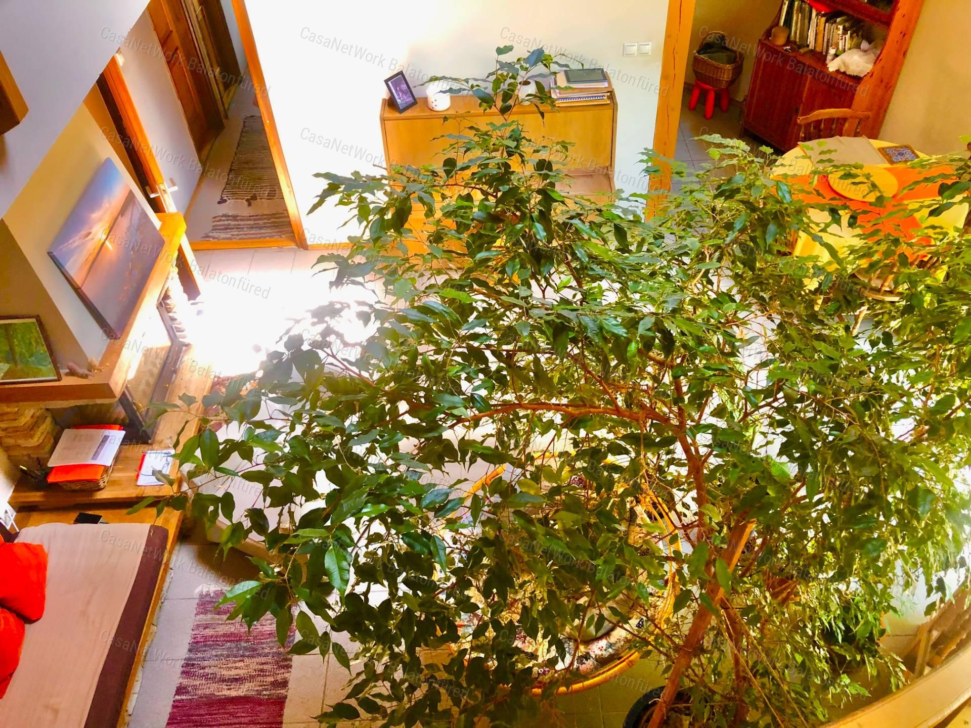 Reggeli kávé-esti borozgatás-csörgedező patak partján- Balatoni Panoráma