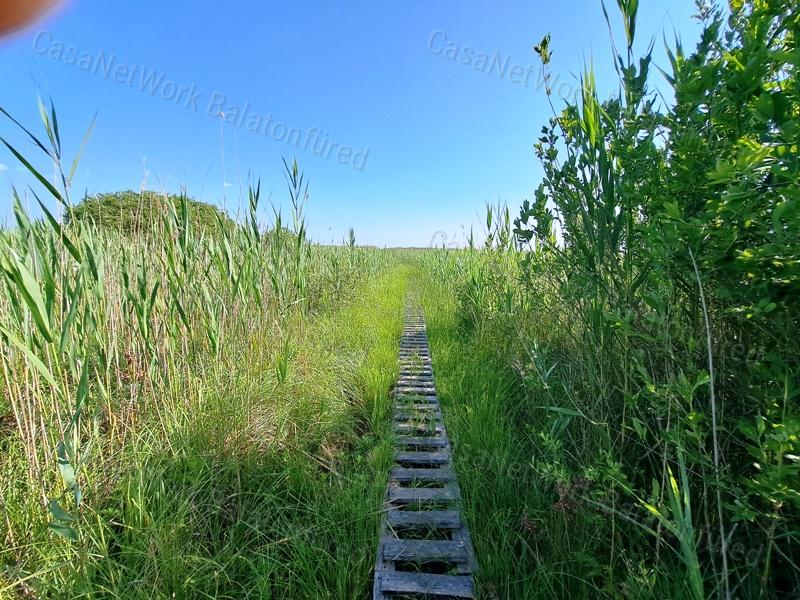 Horgászoknak ideális - eladó vízparti ingatlan BALATONAKALIBAN