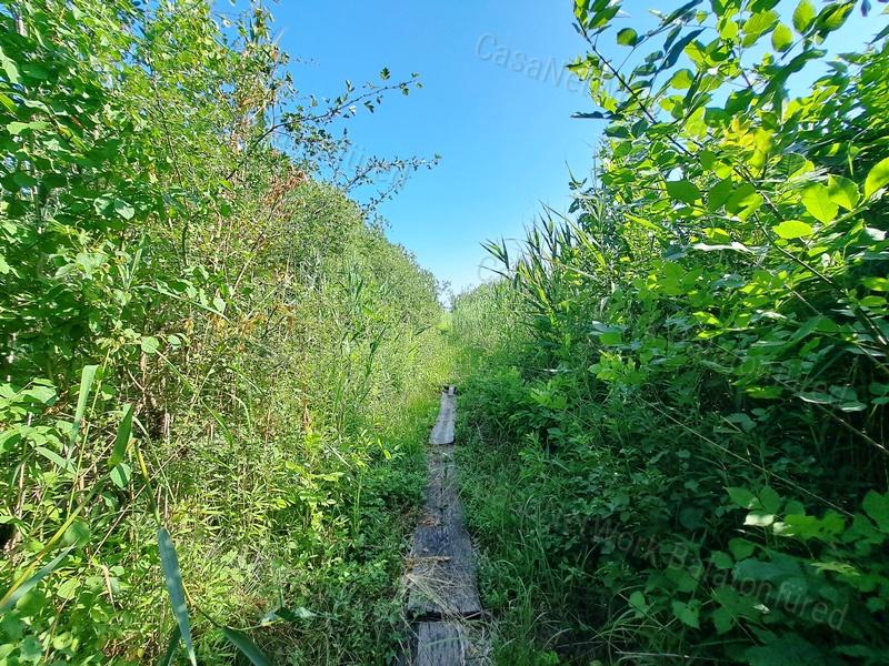 Horgászoknak ideális - eladó vízparti ingatlan BALATONAKALIBAN
