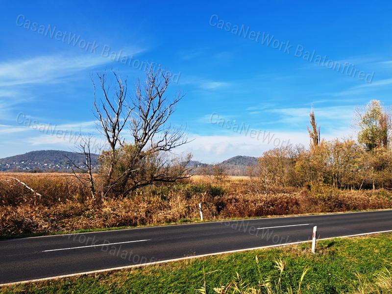 Badacsonytördemicen, a 71-es út mentén, 952 m2 nádas terület eladó