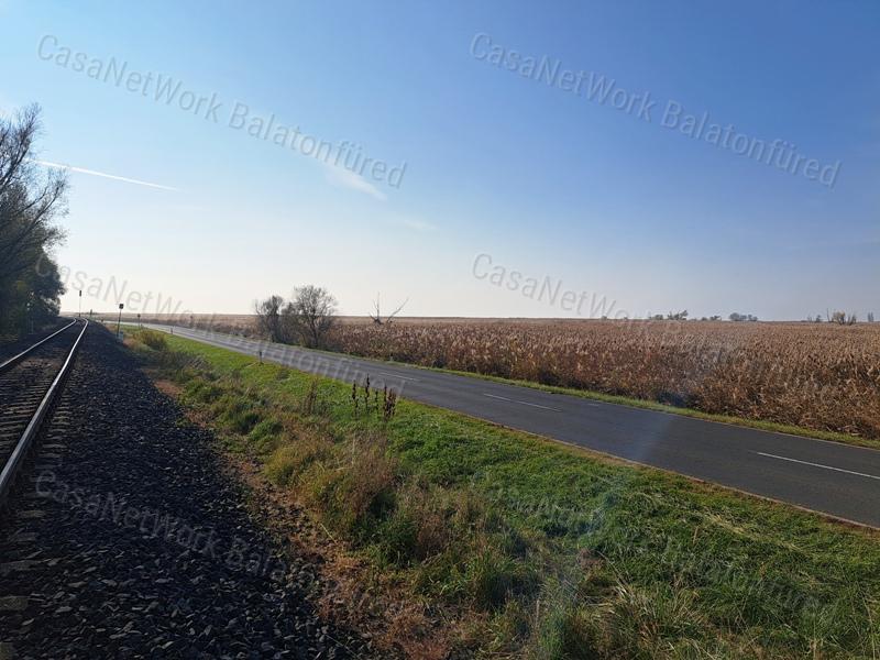 Badacsonytördemicen, a 71-es út mentén, 952 m2 nádas terület eladó