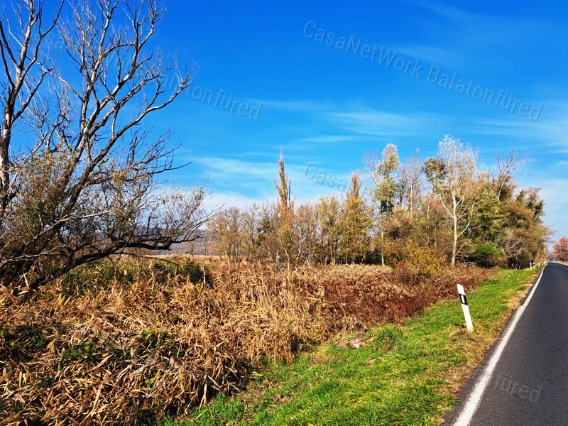 Badacsonytördemicen, a 71-es út mentén, 952 m2 nádas terület eladó