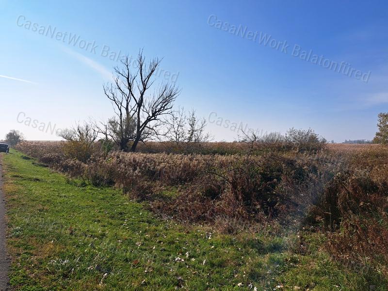 Badacsonytördemicen, a 71-es út mentén, 952 m2 nádas terület eladó
