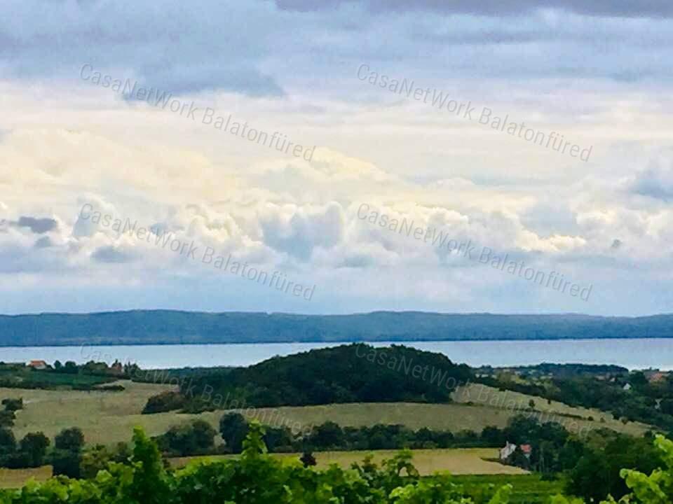 Balatoni panorámás -Szőlős kert