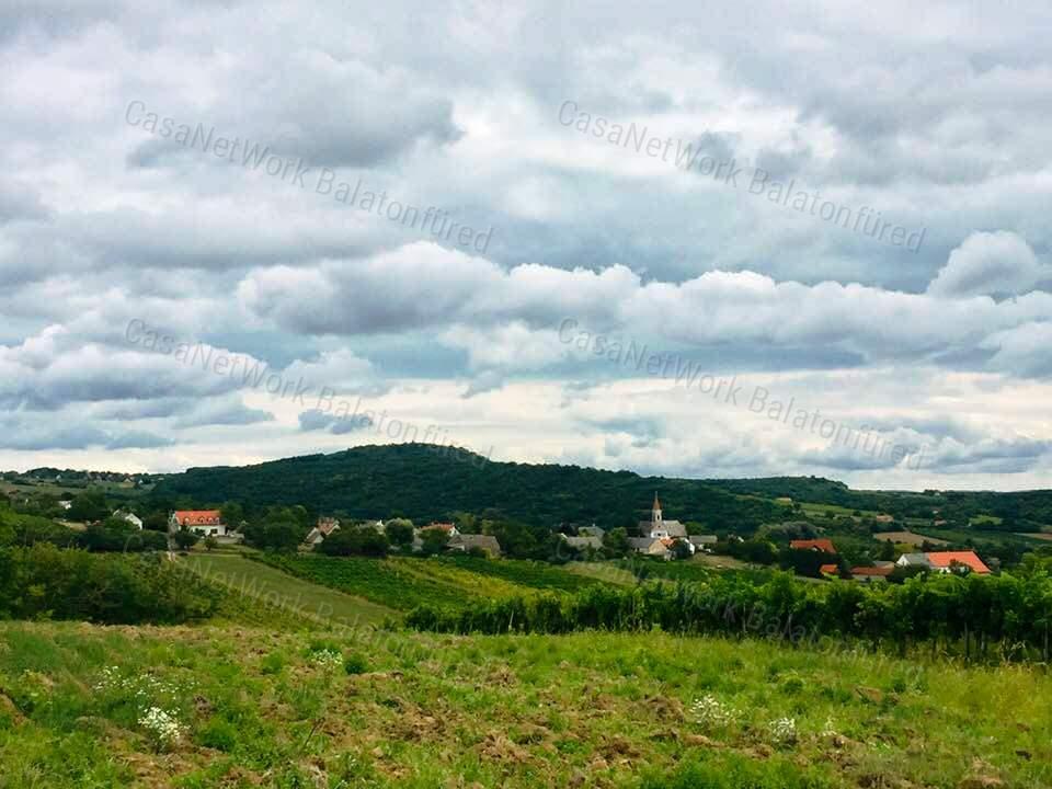 Balatoni panorámás -Szőlős kert